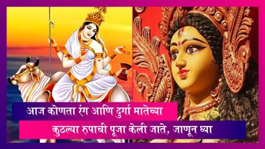 Navratri 2022:  नवरात्र उत्सवाची आज पहिली माळ, आज कोणता रंग आणि दुर्गा मातेच्या कुठल्या रुपाची पूजा केली जाते, जाणून घ्या